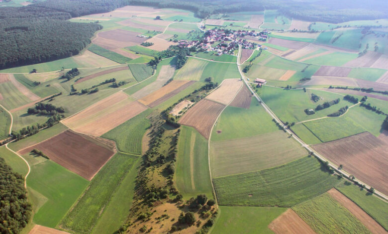 Land fördert Bau- und Pflanzmaßnahmen in Ehingen-Frankenhofen