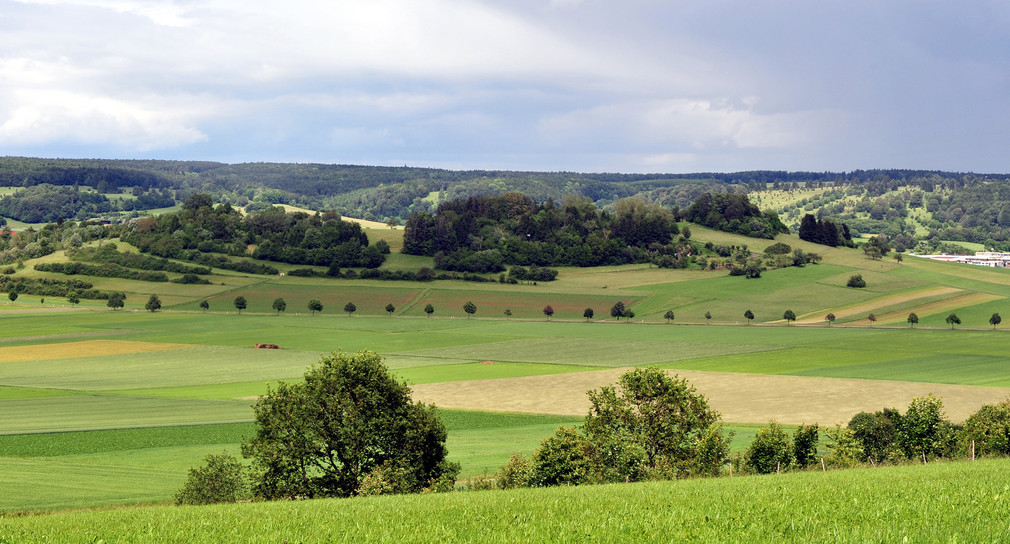 Land fördert die Landkonsolidierung in Mudau-Scheidental