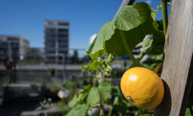 Land ist Spitzenreiter bei Nachhaltigkeitsrating