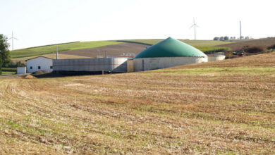 Biogas