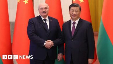 Alexander Lukashenko and Xi Jinping