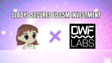 Milady Meme Coin sichert sich 5 Millionen US-Dollar Investition von DWF Labs