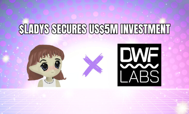 Milady Meme Coin sichert sich 5 Millionen US-Dollar Investition von DWF Labs