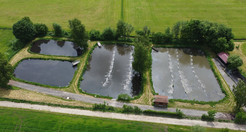 Modernisierung der Abwasserentsorgung in Kreßberg gefördert