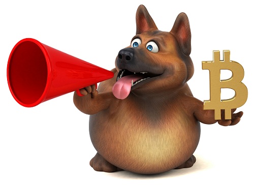 NFT-Gaming-Projekt mit Hundemotiv stellt inmitten des Bitcoin-Comebacks den ersten BRC-20-ICO vor