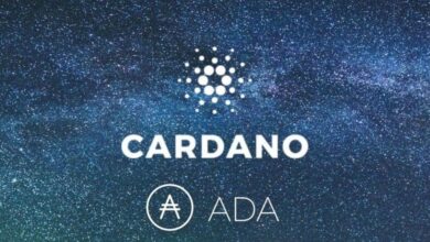 NYSE ARCA-Dateien 19b-4 für Grauskala Cardano ETF als Vorverkauf von Bitcoin Pepe live.