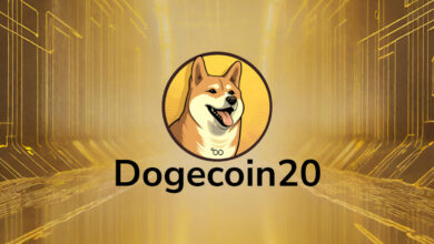 Neue Meme-Münze Dogecoin20 erreicht 2 Millionen US-Dollar und hat in 3 Tagen eingenommen