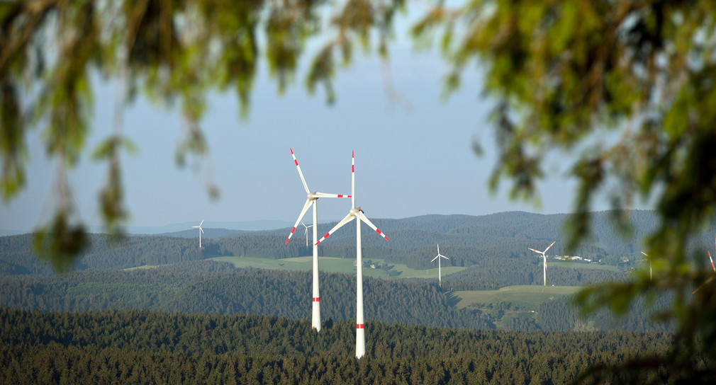 Neue Regelung zum Artenschutz beim Bau von Windkraftanlagen