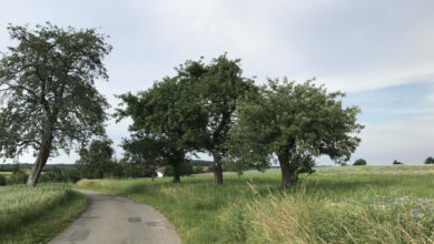 Multifunktionsweg in Limbach-Wagenschwend eingeweiht