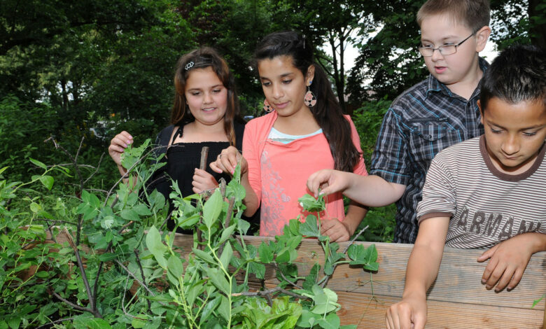 Neun weitere Schulen als Biosphärenschulen ausgezeichnet