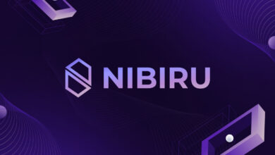 Nibiru Chain sichert sich 12 Millionen US-Dollar, um die entwicklerorientierte L1-Blockchain voranzutreiben