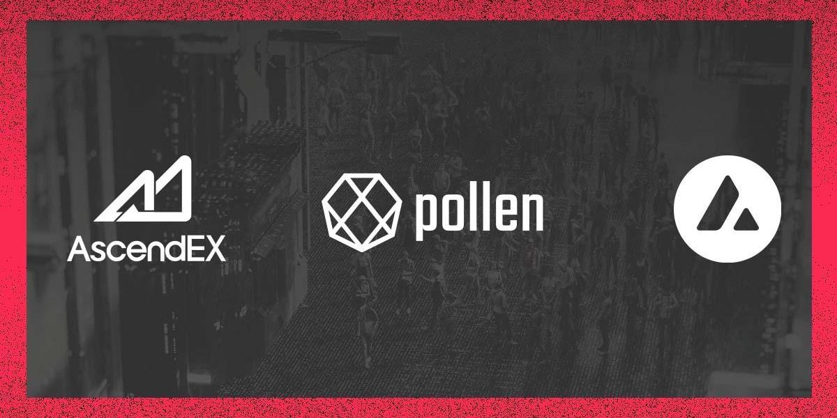 Pollen DeFi $PLN wird der erste Avalanche-Token sein, der auf AscendEX gelistet wird