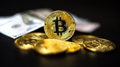 Privatanleger werden Bitcoin dem Dollar vorziehen, wenn die USA zahlungsunfähig werden: Umfrage