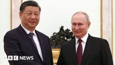 Vladimir Putin and Xi Jinping shake hands in Brazil in November 2019
