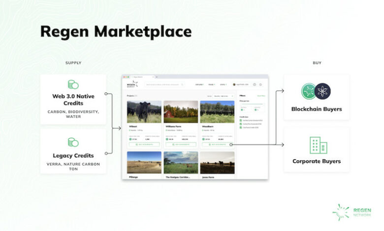 Regen Network startet Carbon Marketplace