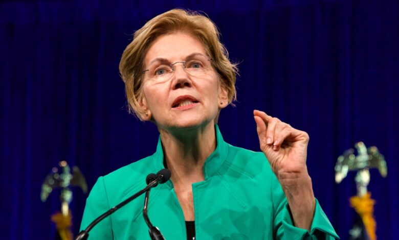 Senatorin Elizabeth Warren bezeichnet John Deatons Senatsbewerbung als „Bedrohung“