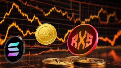 Solana- und Cardano-Investoren setzen stark auf Rexas Finance. Ist es der nächste 10-fache Altcoin?