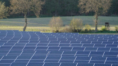 Solare Stromerzeugung auf rund 260 straßennahen Flächen