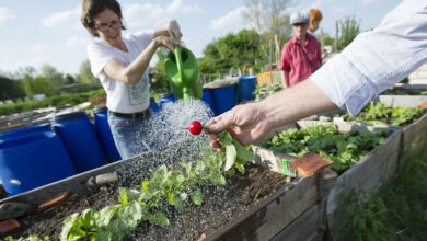 Spitzenplatz für Baden-Württemberg im Nachhaltigkeitsrating