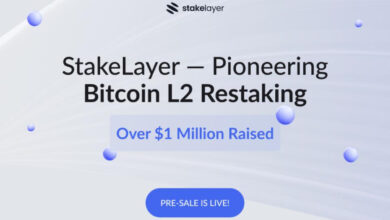 StakeLayer, das erste erneute Einsatzprotokoll, sammelt im Vorverkauf von STAKE über 1 Million US-Dollar ein