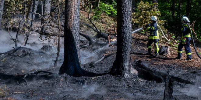 Steigende Waldbrandgefahr