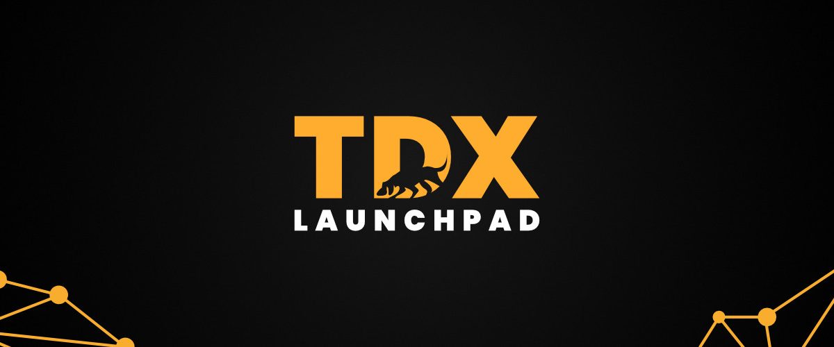TDX Launchpad: Eine vielversprechende Partnerschaft zwischen der IBC Group und TDeFi