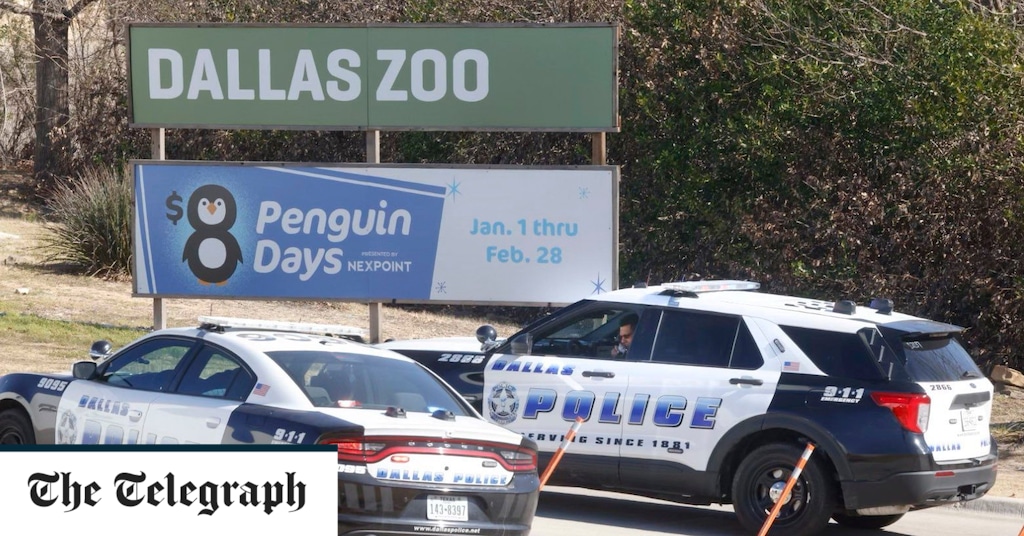 Bei viertem verdächtigen Vorfall verschwinden Affen aus dem Zoo von