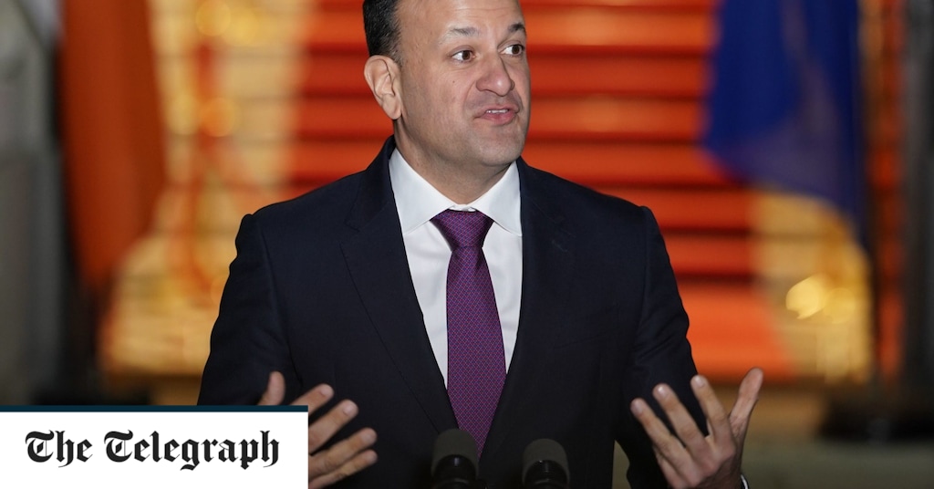 Irland stimmt über die Streichung von Verweisen auf „Frauen im Haushalt“ aus der Verfassung ab