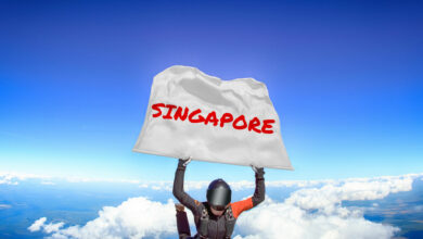 Singapur temasek fühlt sich nicht wohl dabei, in Kryptofirmen zu investieren