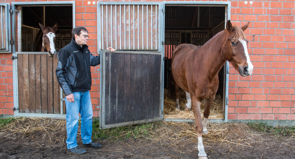Überarbeitete Richtlinien zum Tierschutz im Pferdesport
