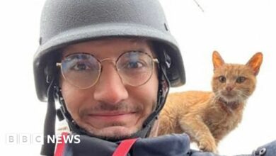 A French journalist who was killed smiles with a cat on his shoulder