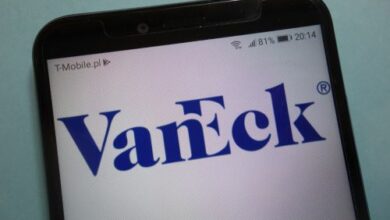 VanEck stellt 30-Millionen-Dollar-Fonds für Krypto- und KI-Startups vor