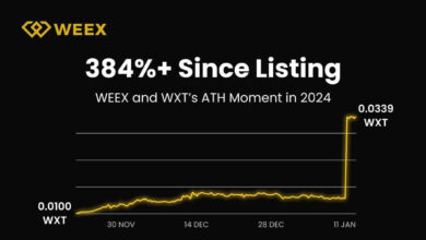 WEEX 2024 Jahresbericht