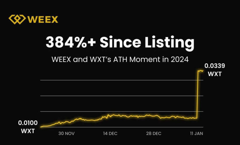 WEEX 2024 Jahresbericht