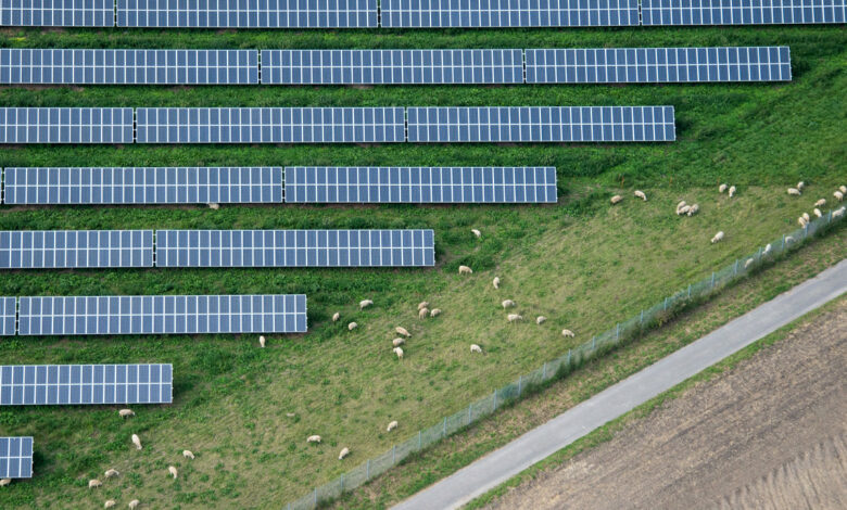 Walker begrüßt Photovoltaik-Gipfel und fordert Verbesserungen