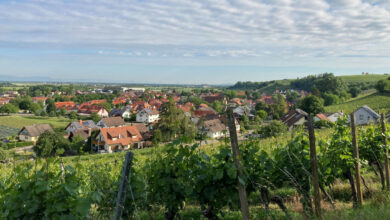 Entwicklungsprogramm Ländlicher Raum wird weiterentwickelt