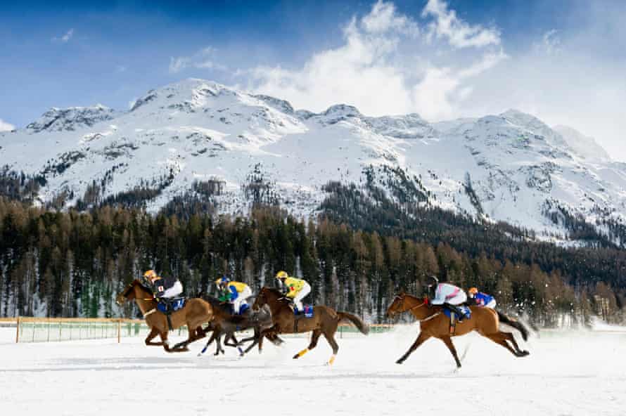 White Turf Pferderennen 2013, St. Moritz