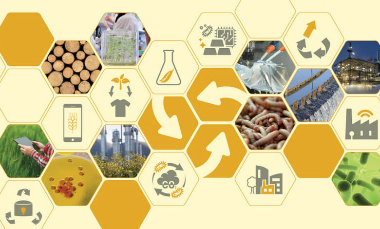 Zwei Netzwerkinitiativen zur Nachhaltigen Bioökonomie